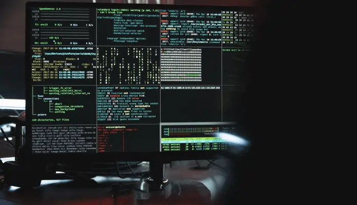 Photo of a screen with server management windows